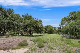 101 Purple Sage St, Driftwood, TX 78619 - Photo 5