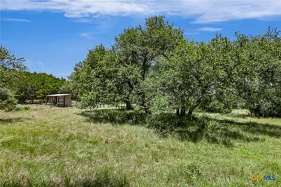 101 Purple Sage Street, Driftwood, TX 78619 - Photo 3