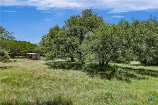 101 Purple Sage St, Driftwood, TX 78619 - Photo 3