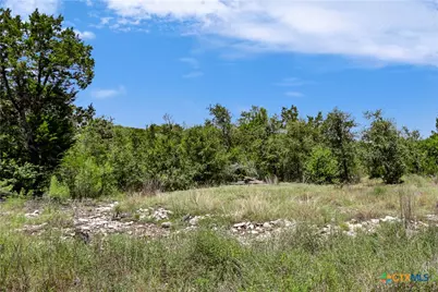 101 Purple Sage Street, Driftwood, TX 78619 - Photo 9