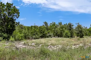 101 Purple Sage St, Driftwood, TX 78619 - Photo 9