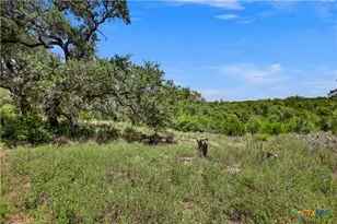 101 Purple Sage St, Driftwood, TX 78619 - Photo 13