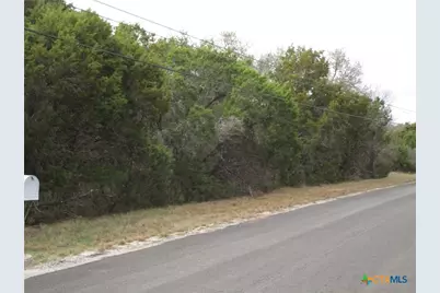 138 Bear Creek Drive, New Braunfels, TX 78132 - Photo 13