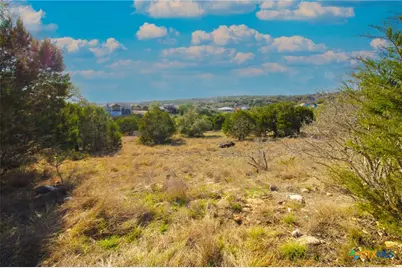 436 Cavy Road, New Braunfels, TX 78132 - Photo 3