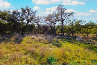 436 Cavy Road, New Braunfels, TX 78132 - Photo 1