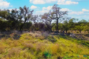 436 Cavy Rd, New Braunfels, TX 78132 - Photo 1