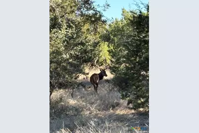 00 Monarch Lane/Shin Oak, Lampasas, TX 76550 - Photo 7