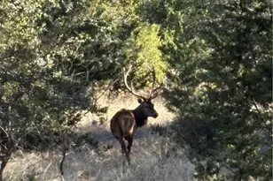 00 Monarch Lane/Shin Oak, Lampasas, TX 76550 - Photo 7