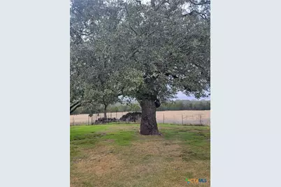 619 County Road 3420, Lampasas, TX 76550 - Photo 9