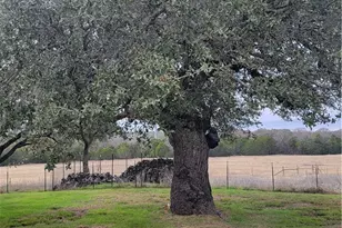 619 County Rd 3420, Lampasas, TX 76550 - Photo 9