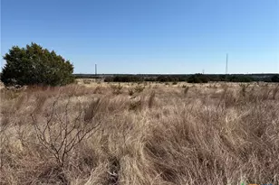 000 Monarch Lane/Shin Oak, Lampasas, TX 76550 - Photo 3