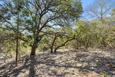 111 La Luna Drive, Blanco, TX 78606 - Photo 15