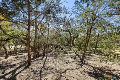 111 La Luna Drive, Blanco, TX 78606 - Photo 21