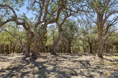 111 La Luna Drive, Blanco, TX 78606 - Photo 25