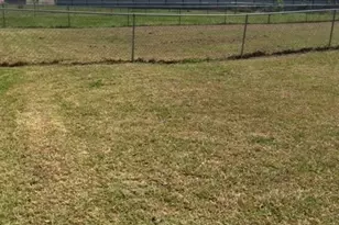 206 Castellon Ct, Killeen, TX 76542 - Photo 19