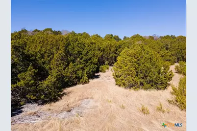 Tbd County Road 3900, Gatesville, TX 76528 - Photo 11