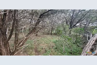 15974 Brazos Drive, Temple, TX 76502 - Photo 17