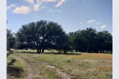 7947 Cr 1255 Road, Lampasas, TX 76550 - Photo 11