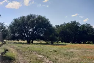 7947 Cr 1255 Rd, Lampasas, TX 76550 - Photo 11