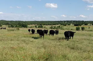 7947 Cr 1255 Rd, Lampasas, TX 76550 - Photo 13