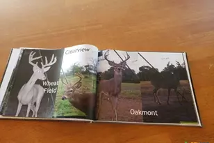 7947 Cr 1255 Rd, Lampasas, TX 76550 - Photo 21