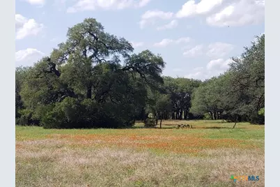 7947 Cr 1255 Road, Lampasas, TX 76550 - Photo 9
