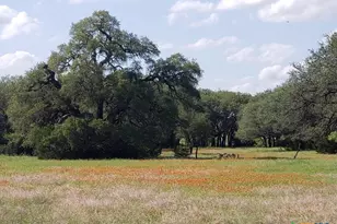 7947 Cr 1255 Rd, Lampasas, TX 76550 - Photo 9