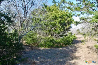 4850 Burke Road, Flatonia, TX 78941 - Photo 43