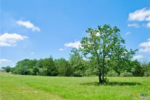 4850 Burke Rd, Flatonia, TX 78941 - Photo 9