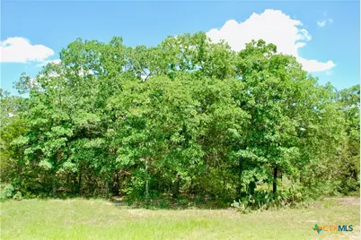 4850 Burke Road, Flatonia, TX 78941 - Photo 41