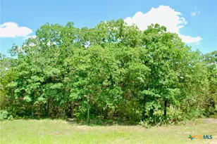 4850 Burke Rd, Flatonia, TX 78941 - Photo 41