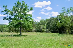 4850 Burke Rd, Flatonia, TX 78941 - Photo 39