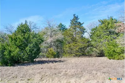 4850 Burke Road, Flatonia, TX 78941 - Photo 41