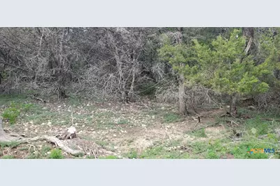 15968 Brazos Drive, Temple, TX 76502 - Photo 11