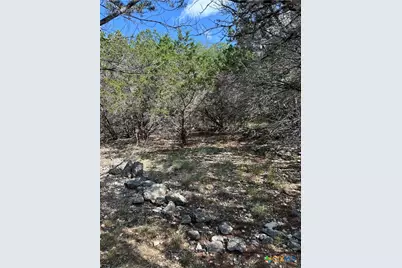 121 Agarita Drive, Spring Branch, TX 78070 - Photo 7