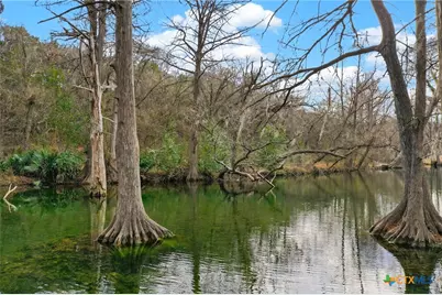121 Agarita Drive, Spring Branch, TX 78070 - Photo 21