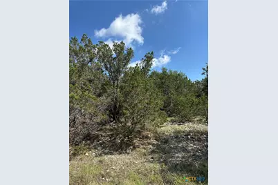 121 Agarita Drive, Spring Branch, TX 78070 - Photo 9