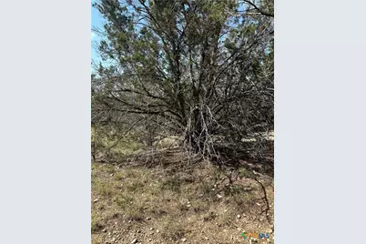 121 Agarita Drive, Spring Branch, TX 78070 - Photo 7