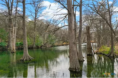 121 Agarita Drive, Spring Branch, TX 78070 - Photo 25