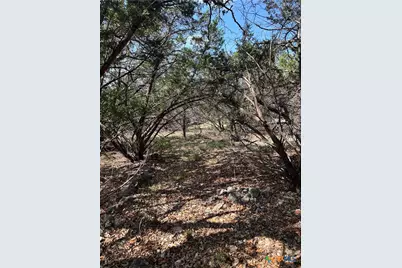 121 Agarita Drive, Spring Branch, TX 78070 - Photo 5