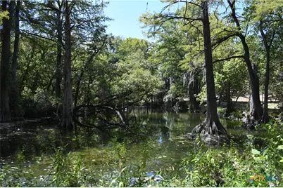 121 Agarita Drive, Spring Branch, TX 78070 - Photo 17