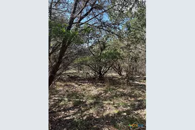 121 Agarita Drive, Spring Branch, TX 78070 - Photo 5