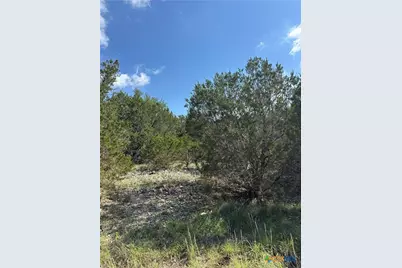 121 Agarita Drive, Spring Branch, TX 78070 - Photo 9