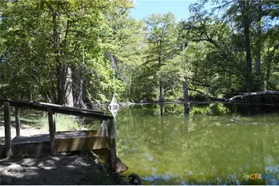 121 Agarita Drive, Spring Branch, TX 78070 - Photo 15