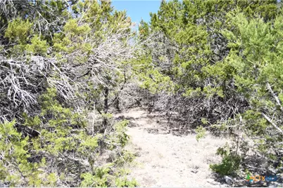 121 Agarita Drive, Spring Branch, TX 78070 - Photo 11