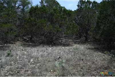 135 Agarita Drive, Spring Branch, TX 78070 - Photo 7