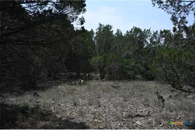 135 Agarita Drive, Spring Branch, TX 78070 - Photo 3