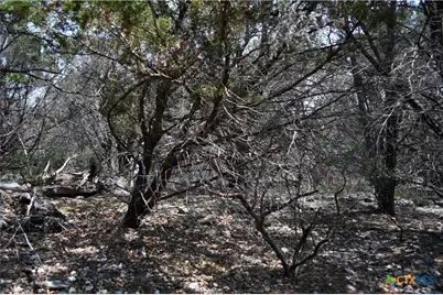 135 Agarita Drive, Spring Branch, TX 78070 - Photo 5