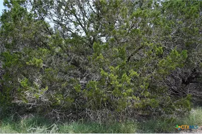 135 Agarita Drive, Spring Branch, TX 78070 - Photo 9