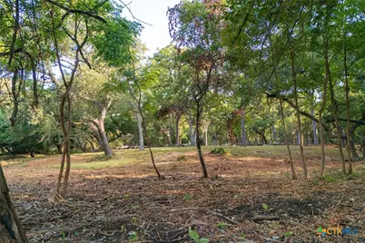 303 Deer Lake Road, Wimberley, TX 78676 - Photo 11